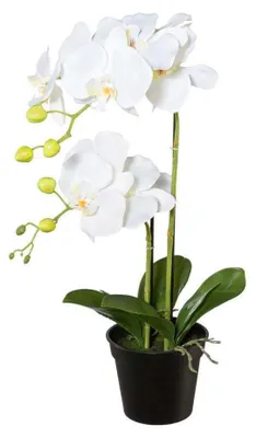 Produktbild von GASPER Schmetterlingsorchidee - Phalaenopsis Weiß im Topf 55 cm - Kunstblumen