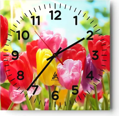 Produktbild von Wanduhr - Quadrat - Glasuhr - Tulpe Blume Garten Plantage - 40x40cm - Schleichendes Uhrwerk - Lautlos - zum Aufhängen bereit - Dekoration Modern - Wanddekoration aus Glas - C4AC40x40-2466
