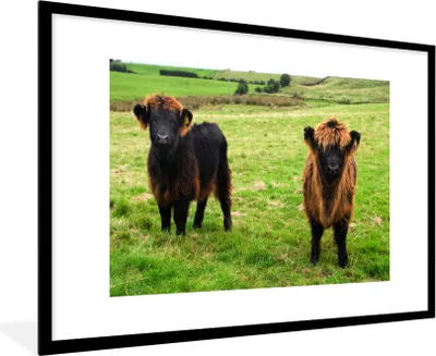 Produktbild von MuchoWow® Gerahmtes Poster Schottische Highlander - Gras - Kühe 90x60 cm - Poster mit Schwarzem Bilderrahmen Wandposter Rahmen Foto Bilder - Wanddekoration - Fotos