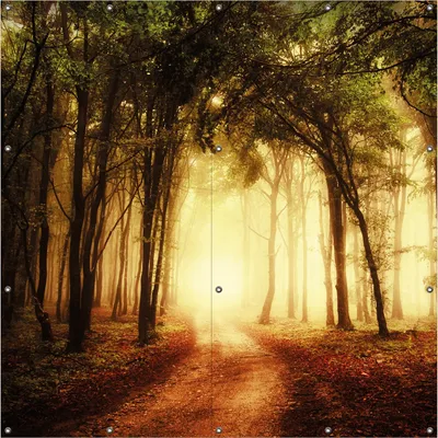 Produktbild von Wallario Outdoor-Poster für Garten oder Balkon, Motiv Sonnenuntergang auf dem Waldweg, in ca. 180 x 180 cm