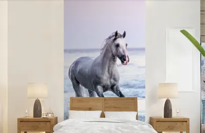 Produktbild von Fotobanner - Pferde - Luft - Meer - Breite 120 cm x Höhe 240 cm