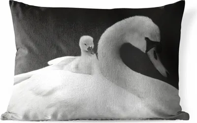 Produktbild von MuchoWow® Outdoor Kissen - Tierprofil Schwan mit Jungtier in schwarz und weiß - 50x30 cm - Wetterfest - Lounge Kissen - Sofa kissen - Wohnzimmer Dekoration