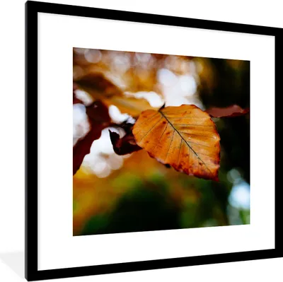 Produktbild von MuchoWow® Gerahmtes Poster Buche - Herbst - Laub 40x40 cm - Poster mit Schwarzem Bilderrahmen Wandposter Rahmen Foto Bilder - Poster - Plakat im Rahmen