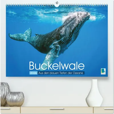 Produktbild von Buckelwale: Aus den blauen Tiefen der Ozeane (hochwertiger Premium Wandkalender 2026 DIN A2 quer), Kunstdruck in Hochglanz