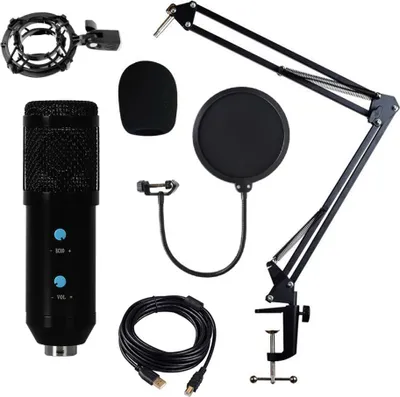 Immagine prodotto di INF Kit Microfono a Condensatore USB con Volume e Riverbero per PC