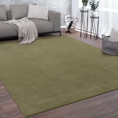 Produktbild von Waschbarer Teppich Wohnzimmer Kurzflor Einfarbiger Moderner Stil Weich grün Grösse 300x400 cm