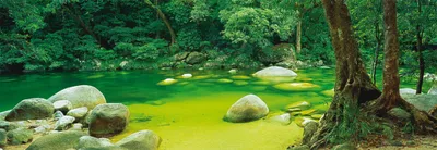 Image de 1000 pièces Schmidt Spiele Puzzle Panorama Mark Gray Mossman Gorge 59286