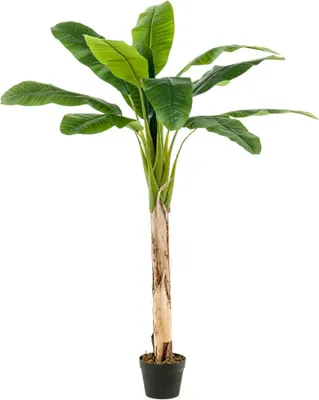 Zdjęcie produktu dla Emerald Sztuczny bananowiec w doniczce 120 cm