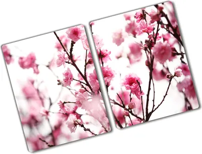 Produktbild von Tulup Glas Herdabdeckplatte - 2x40x52 cm - Glaskeramikkochfeld-Abdeckung Spritzschutz Glasabdeckplatte Kochplattenabdeckung und Schneidebrett - Zweiteilig - Blumen & Pflanzen - Pflaumenblüte - Rosa