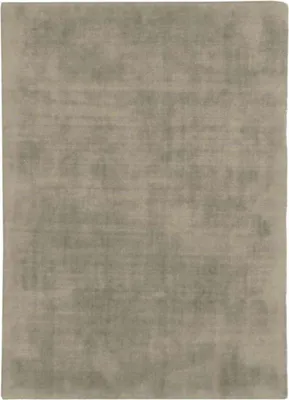 Image de Tapis aspect velours vert clair 120x170