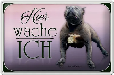Produktbild von Blechschild Hund 30x20cm Pit Bull Terrier hier wache ich