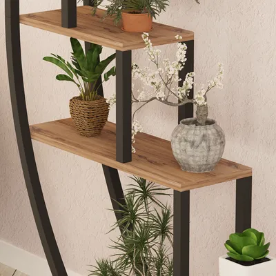 A multi-tiered shelf unit with various potted plants displayed on it, set against a textured wall.