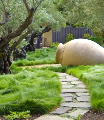 Produktbild von BALDUR Garten 3er Gräser-Teppich 'Carex Remota', Pflanzen im 9x9 cm-Topf, immergrünes Wiesengras, überlappender, halbkugeliger Wuchs, winterhart, robust, mehrjährig & pflegeleicht