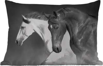 Produktbild von MuchoWow® Outdoor Kissen - Pferde - Tiere - Schwarz - Weiß - Porträt - 50x30 cm - Wetterfest - Lounge Kissen - Sofa kissen - Wohnzimmer Dekoration