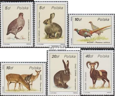 Produktbild von Briefmarken Polen 1986 Mi 3019-3024 (kompl.Ausg.) postfrisch Jagbare Wildtiere
