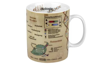 Image de KÖNITZ 1113301624 Gobelet à savoir BIOLOGIE 490 ml en porcelaine / Gobelet à motif