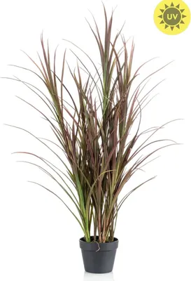 Produktbild von Emerald Künstliches Gras - Kuzey | 115 cm, UV-beständig, für draußen, Kunstpflanze, wie echt, Allergiker geeignet, pflanzliche Dekoration Praxis, Office & Wohnzimmer