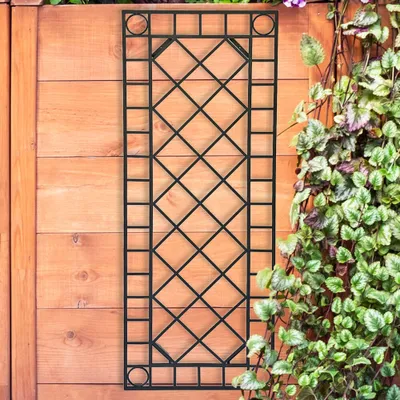 A black metal trellis is mounted on a wooden fence, with green vines growing on the right side.