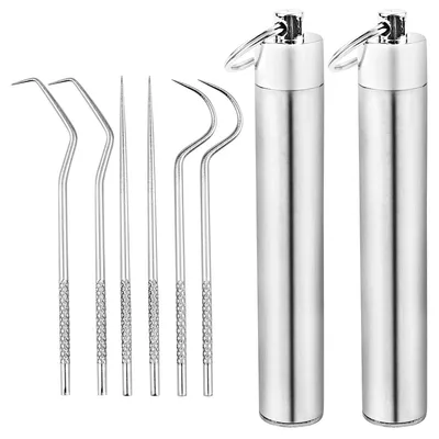 Zahnstocher-Set aus Edelstahl, 8 Stück mit Box
