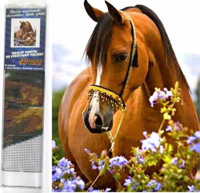 Produktbild von Norimpex Diamantov maloven Horse Zä rtlichkeit 30x40cm