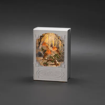 Produktbild von Konstsmide LED Wasserlaterne, "Buch mit Rotkehlchen", weiß, wassergefüllt, 5h Timer, 1 warm weiße Diode, batteriebetrieben & USB, Innen  - 4285-200