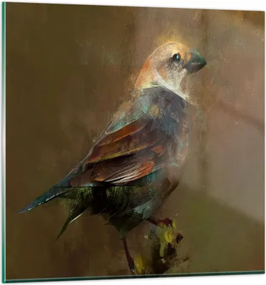 Produktbild von Bilder auf glas - Vogel Natur - 60x60cm - Glasbilder - Wandbilder - Bilder - Kunstdruck - zum Aufhängen bereit - Wanddekoration aus Glas - Glas Bilder - Wandbild auf Glas - Einteilig - GAC60x60-3924