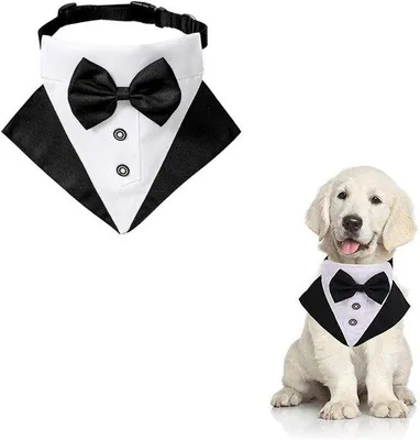 Produktbild von Halsbänder für Hunde - Verstelbare Formhalter für Hundebrautjungfer - Ein Stück - Für kleine und mittelgroße Hunde geeignet - Maß L - Verstellt