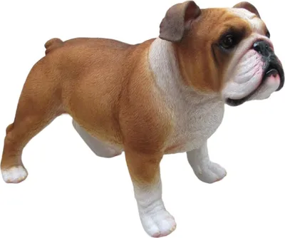 Produktbild von Dekofigur Bulldogge stehend 37 x 24 x 17 cm braun weiß
