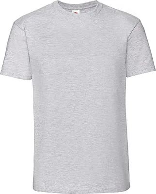 Image de T-shirt Iconic 195 Ringspun Premium