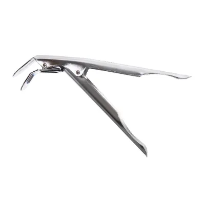 Produktbild von Grill Guru Grill Clipper Rostheber