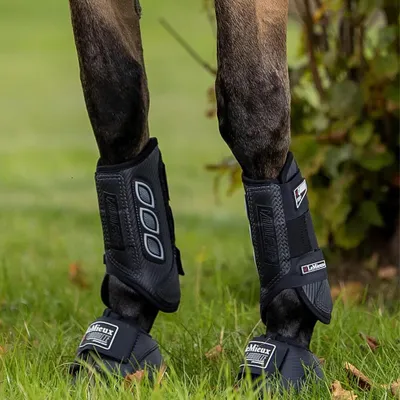 Image de LeMieux guêtres tout terrain Carbon Air XC avant
