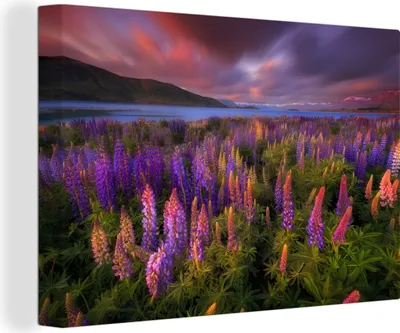Produktbild von OneMillionCanvasses® - Leinwandbilder - 140x90 cm, Rosa - Blumen - Frühling, Wandbilder Kunstdruck Wanddekoration