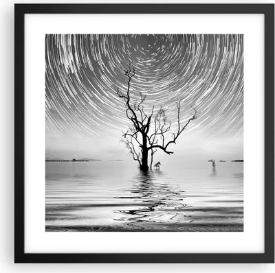 Produktbild von Gerahmtes Poster - Schwarzer Rahmen - Schwarzweiß Baum See - 40x40 cm - Wand Bild - Wanddeko - Wandbilder - Kunstposter - Wandposter - Bilderrahmen - Bilder - Kunstdruck - Wandbild - P2BAC40x40-4253