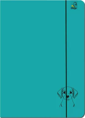 Image de Pochette A4 avec élastique Labrador turquoise 5 pièces