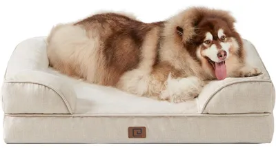 Immagine prodotto di Cuccia ortopedica per cani, taglia XXL, 132x104 cm, realizzata in memory foam, lavabile, impermeabile, antiscivolo, color beige