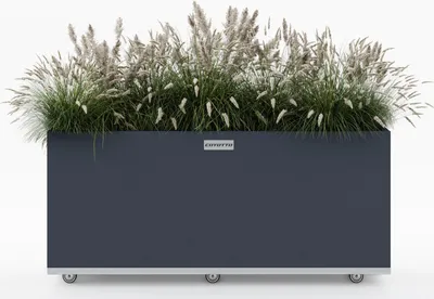Produktbild von Pflanzenkübel Coyotto 100 x 40 x 50 cm Stahl Grau mit Rollen