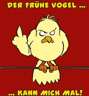 Produktbild von vianmo Holzschild 40x30 cm Der frühe Vogel kann mich mal