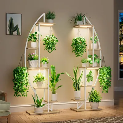 Produktbild von Pflanzenregal Pflanzenständer Blumenregal mit Pflanzenlicht - 160 cm - 6 Ebenen - Metall - Halbmondform
