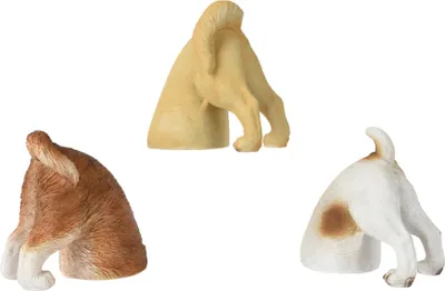 Immagine prodotto di Prodotti da giardino