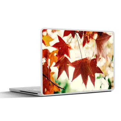 Produktbild von MuchoWow® Laptop Aufkleber Sticker Cover Herbstblätter - November - Natur - Bäume 25x18 cm - Laptop-Deko