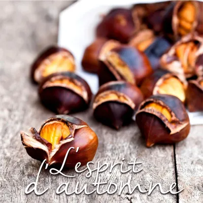 Image de Lot de 20 serviettes papier marrons