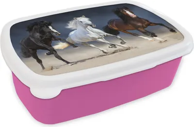 Produktbild von KitchenYeah® Lunchbox Brotzeit Brotdose 17x11 cm Pferde - Tiere - Sand Kinder Brotzeitdose - Lunchpaket - Brotkasten  - Sandwich Box