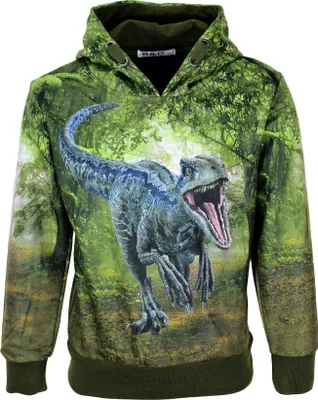 Produktbild von Babes & Binkies Kapuzenpullover Dinosaurier grün - Farbe: Grün - Pullover - Kinder - Größe: 86/92