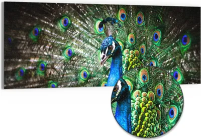 Produktbild von DEQORI Hybrid Leinwand Bild 125x50 cm 'Schönheit des Gefieders' Wandbild Glas flach modern