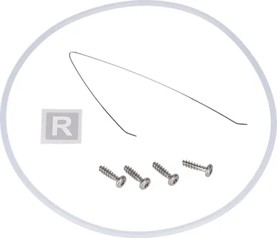 A close-up, overhead view of a set of screws, a thin metal wire, and a small square label with the letter R on it, all within a transparent circular border.