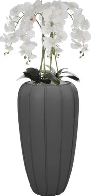 A tall artificial orchid plant with white flowers in a dark gray ribbed pot.