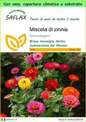 Immagine prodotto di SAFLAX Garden to go - Miscela di zinnia - 50 semi - Zinnia