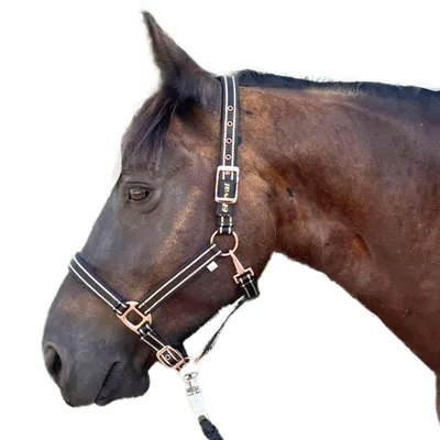 Produktbild von Halfter für Pferde mit Glitzer in rosegold, Halfter Pferd in schwarz, 2-fach verstellbar, Kaltblut