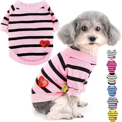 Image de Pull pour chien - Taille XS - Polyester