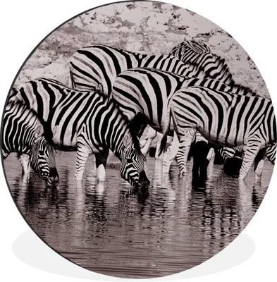 Produktbild von MuchoWow® Aluminium Wandkreis Zebras im Wasser Ø 90 cm Wanddeko Modern Wohnzimmer - Mauerkreis - Wandbilder - Runde Bild - Bild aus Aluminium - Schlafzimmer - Wohnzimmerdekoration - Wand Dekoration